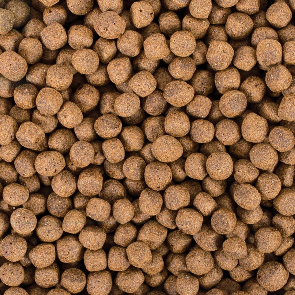 Tropical Koi Probiotic Pellet L 7kg Pokarm probiotyczny dla karpi Koi